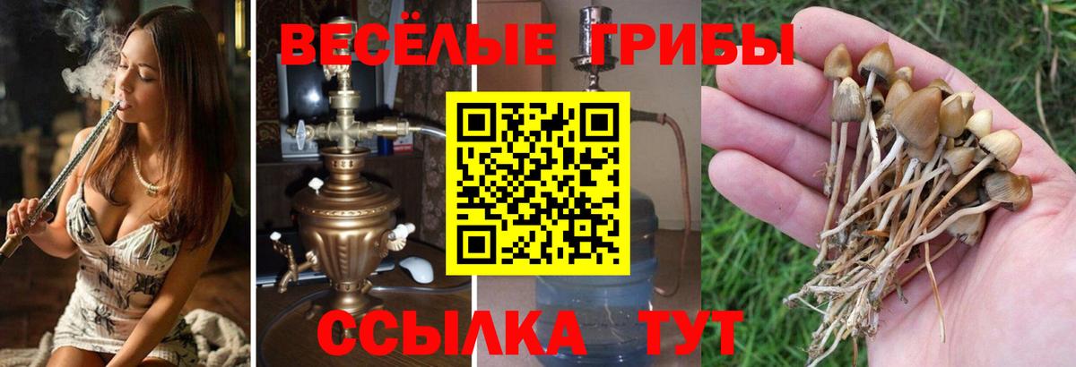 Псилоцибиновые грибы Magic Shrooms Киреевск